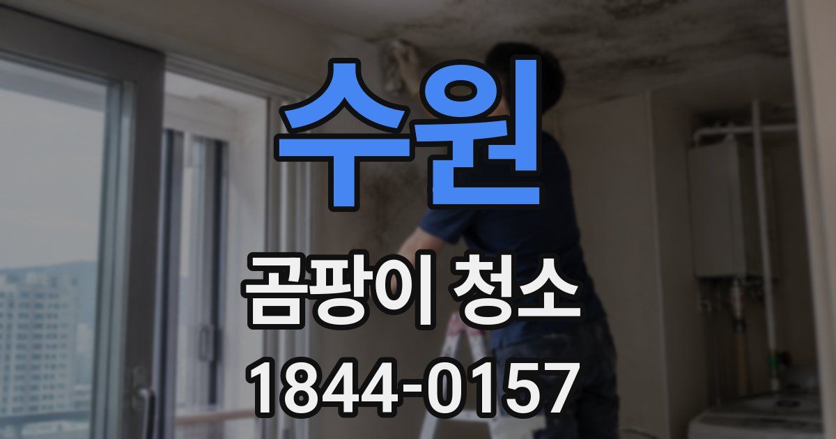 수원 곰팡이 청소