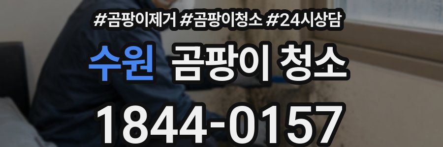 수원 곰팡이 청소