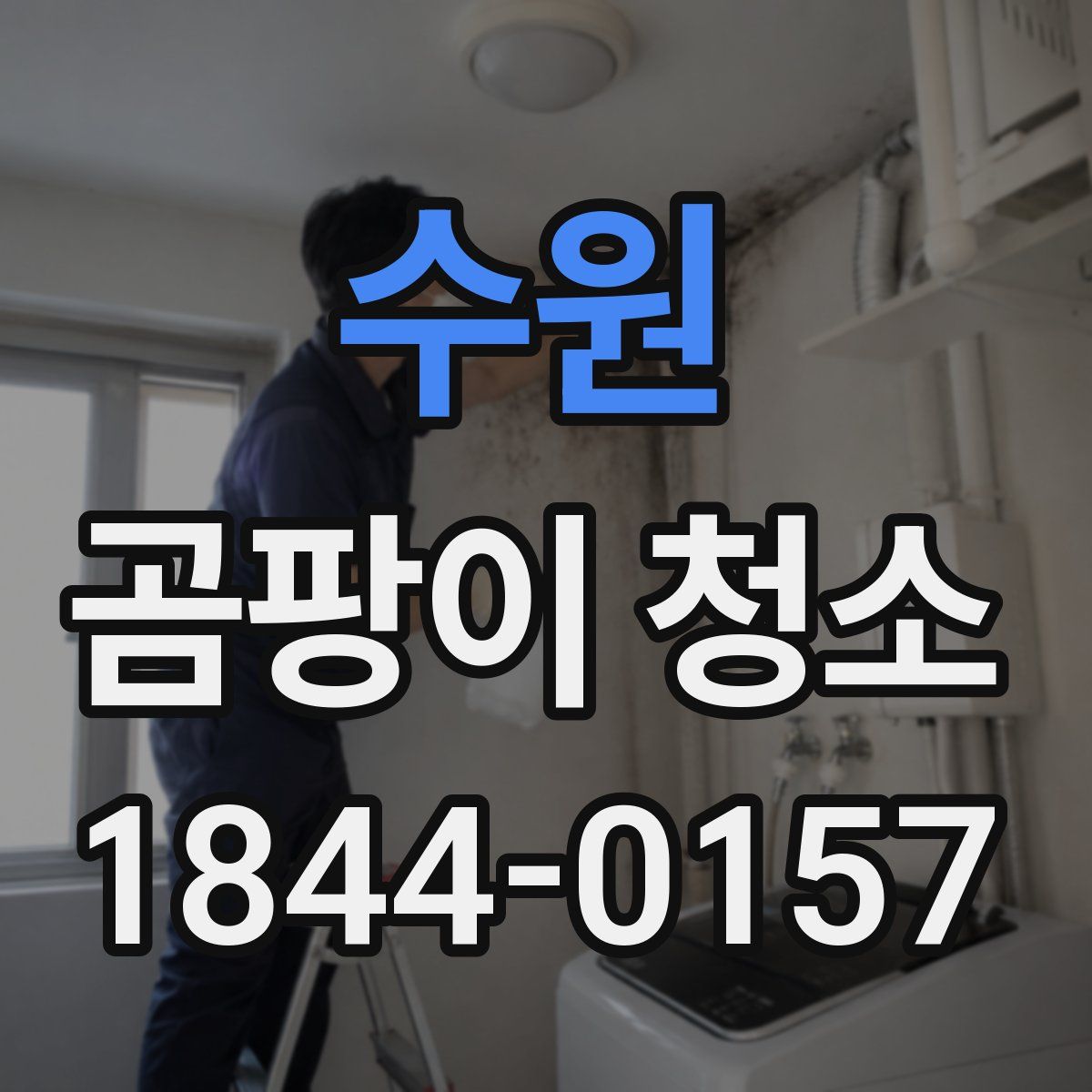 수원 곰팡이 청소