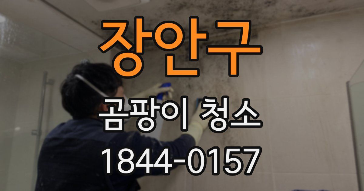 장안구 곰팡이 청소