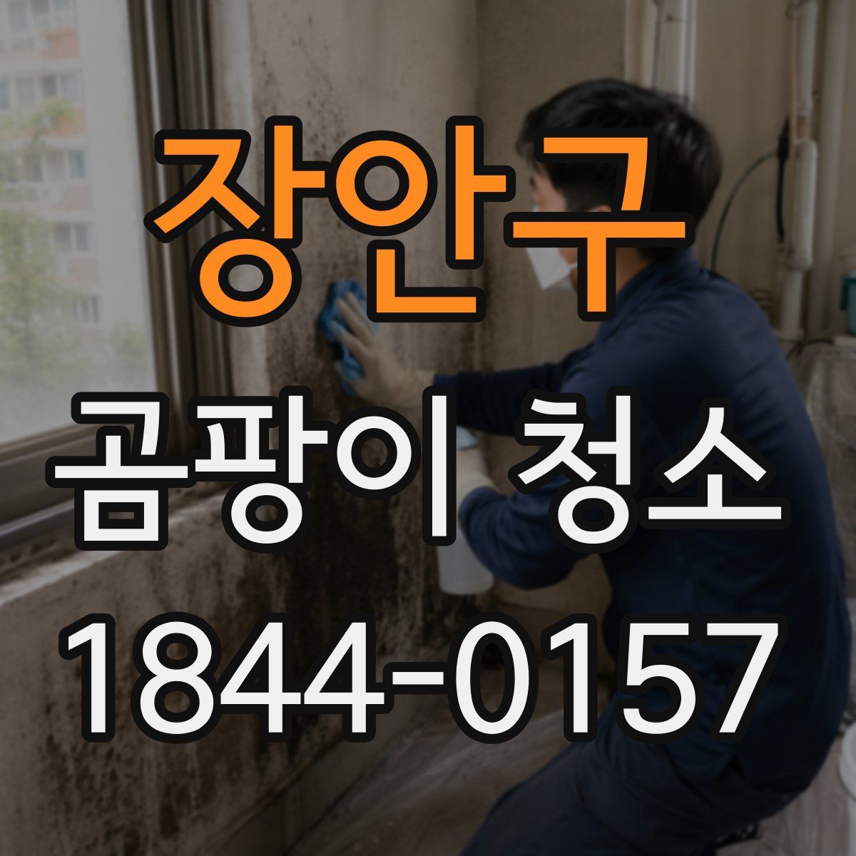 장안구 곰팡이 청소
