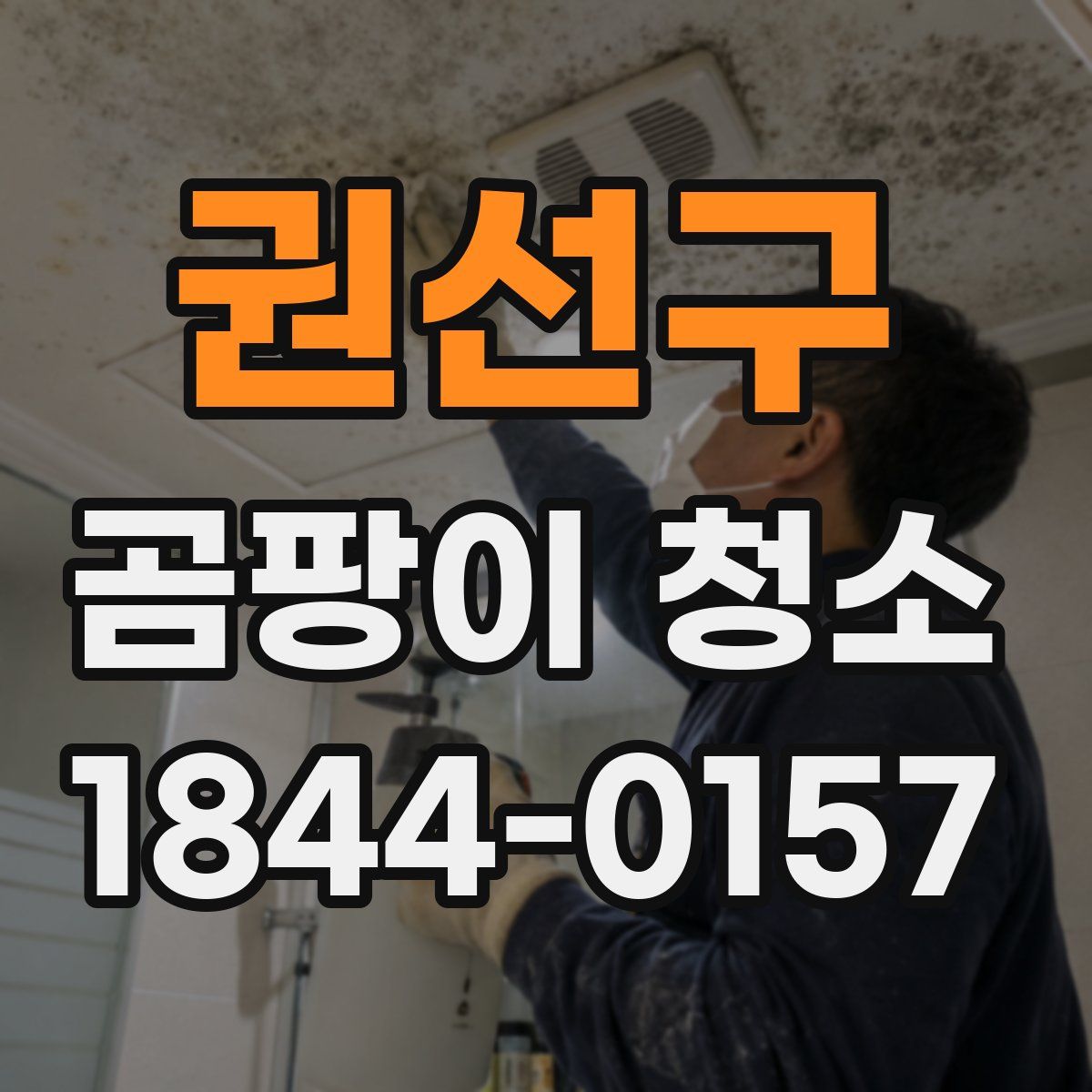 권선구 곰팡이 청소