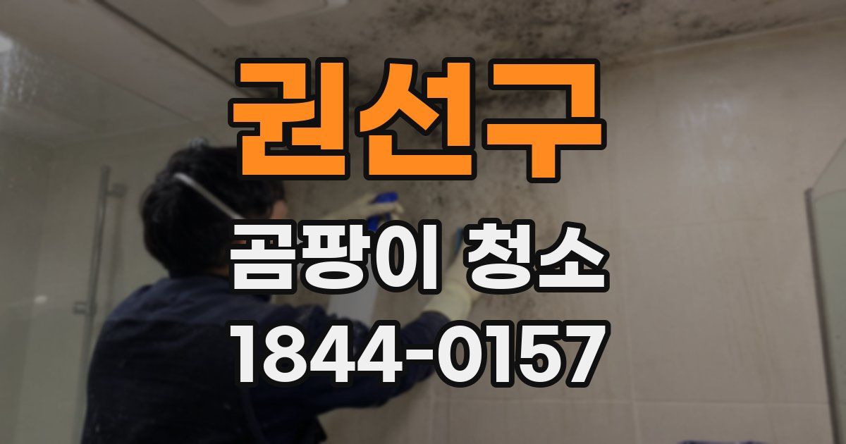 권선구 곰팡이 청소