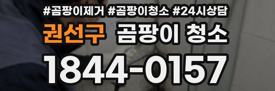 권선구 곰팡이 청소