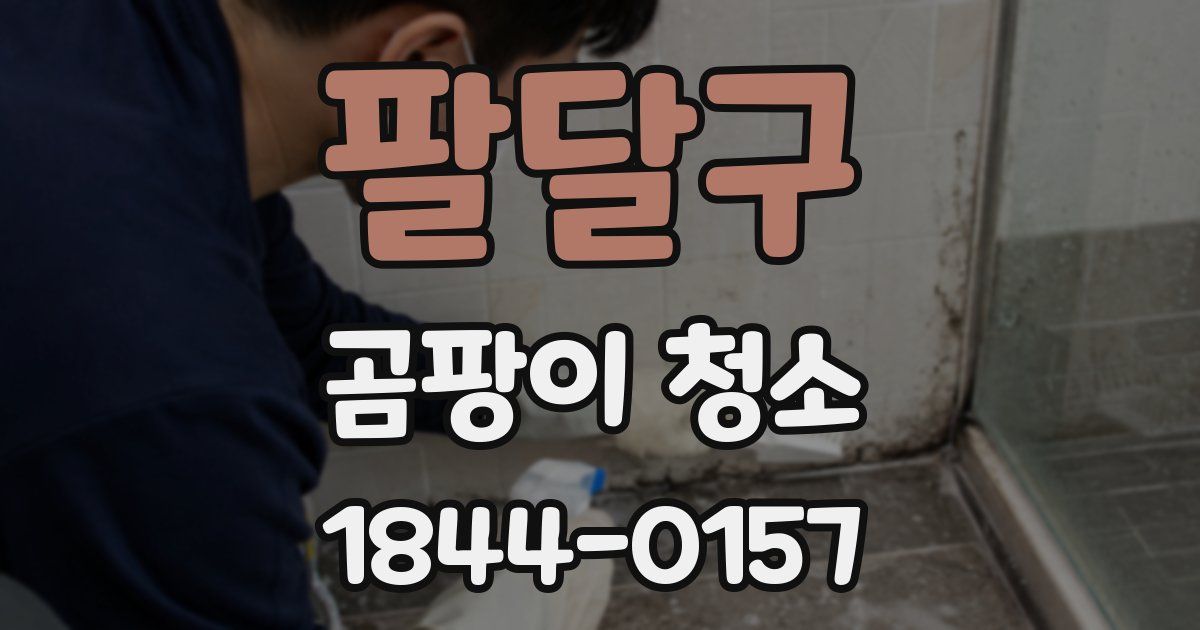 팔달구 곰팡이 청소