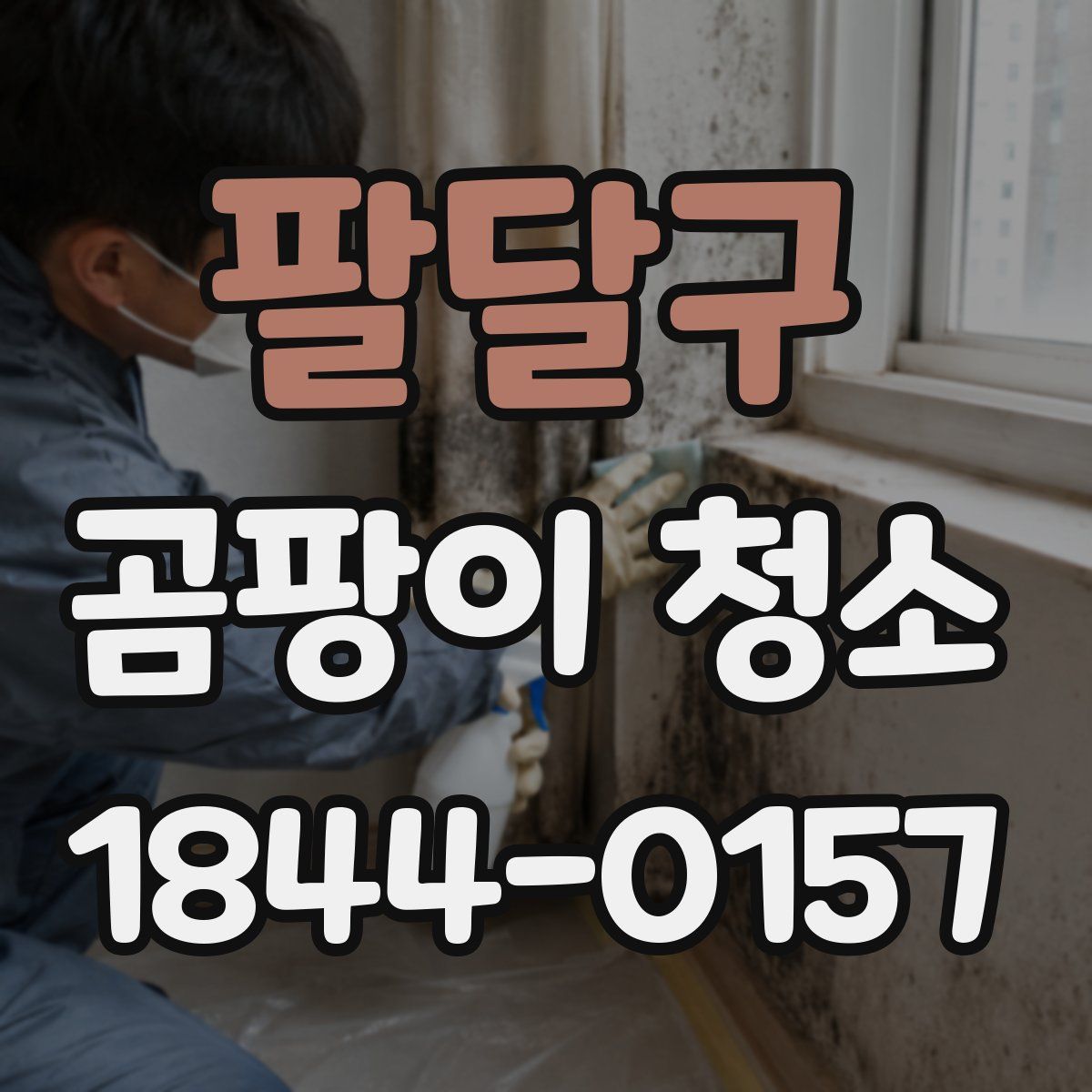 팔달구 곰팡이 청소