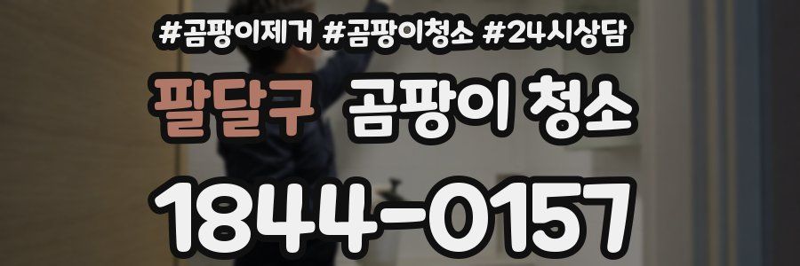 팔달구 곰팡이 청소