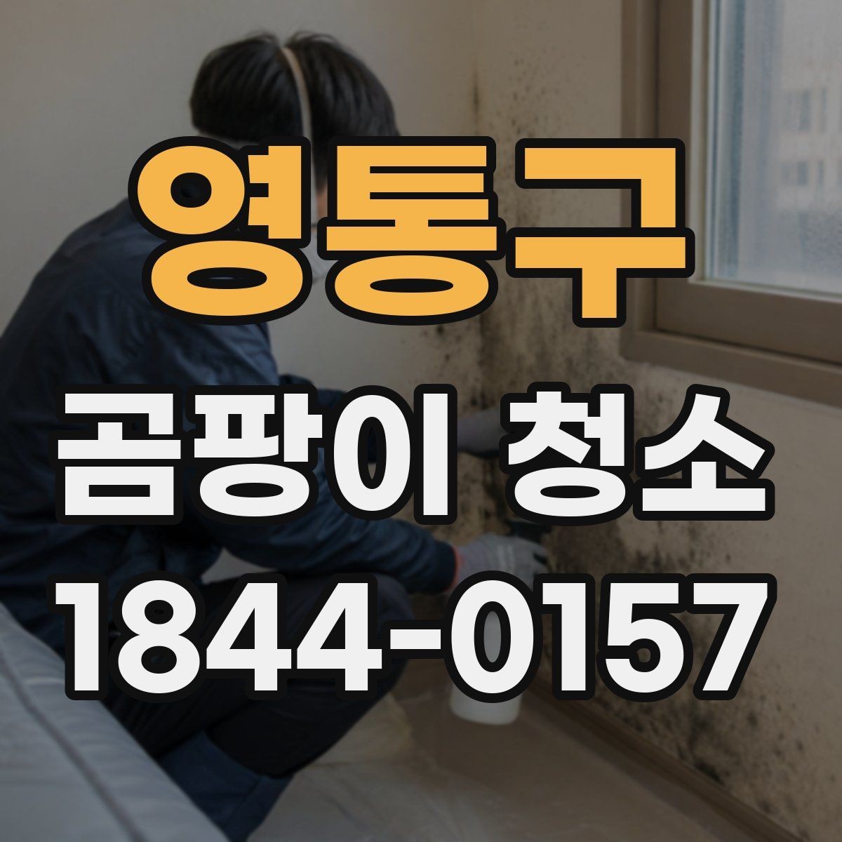영통구 곰팡이 청소 재도장 전 벽면과 도장면을 나눠 정리하는 법