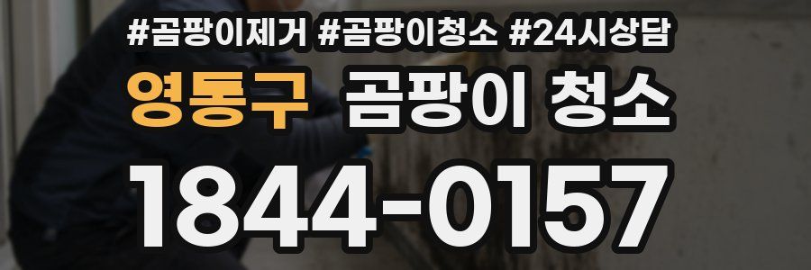 영통구 곰팡이 청소