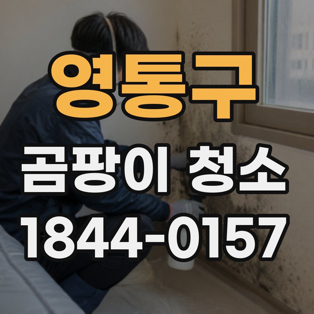 영통구 곰팡이 청소