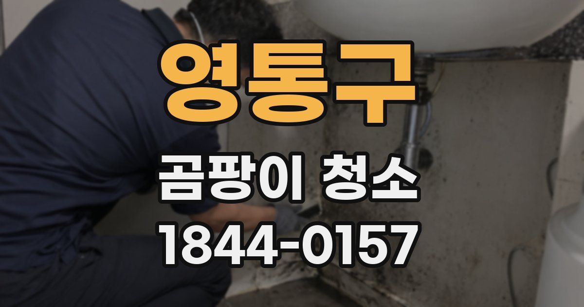 영통구 곰팡이 청소