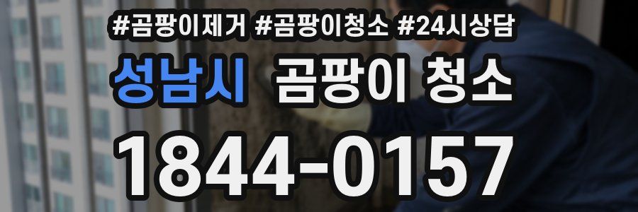 성남시 곰팡이 청소