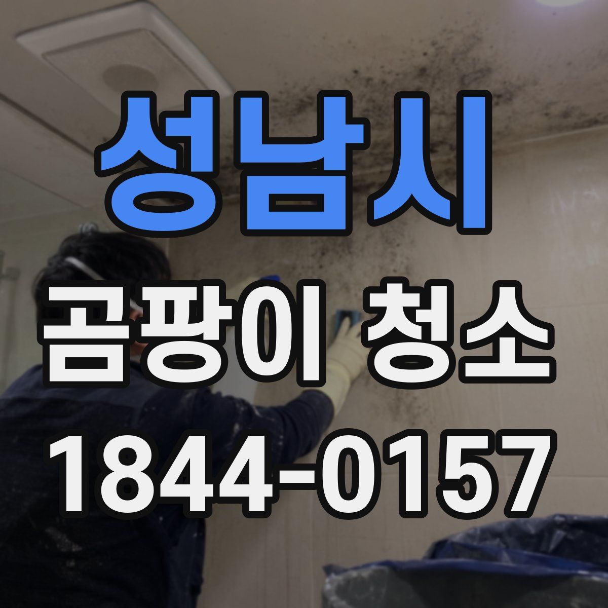 성남시 곰팡이 청소
