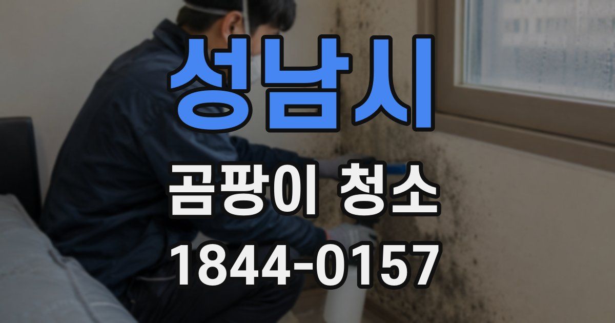 성남시 곰팡이 청소