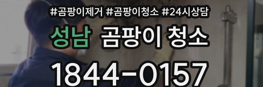 성남 곰팡이 청소