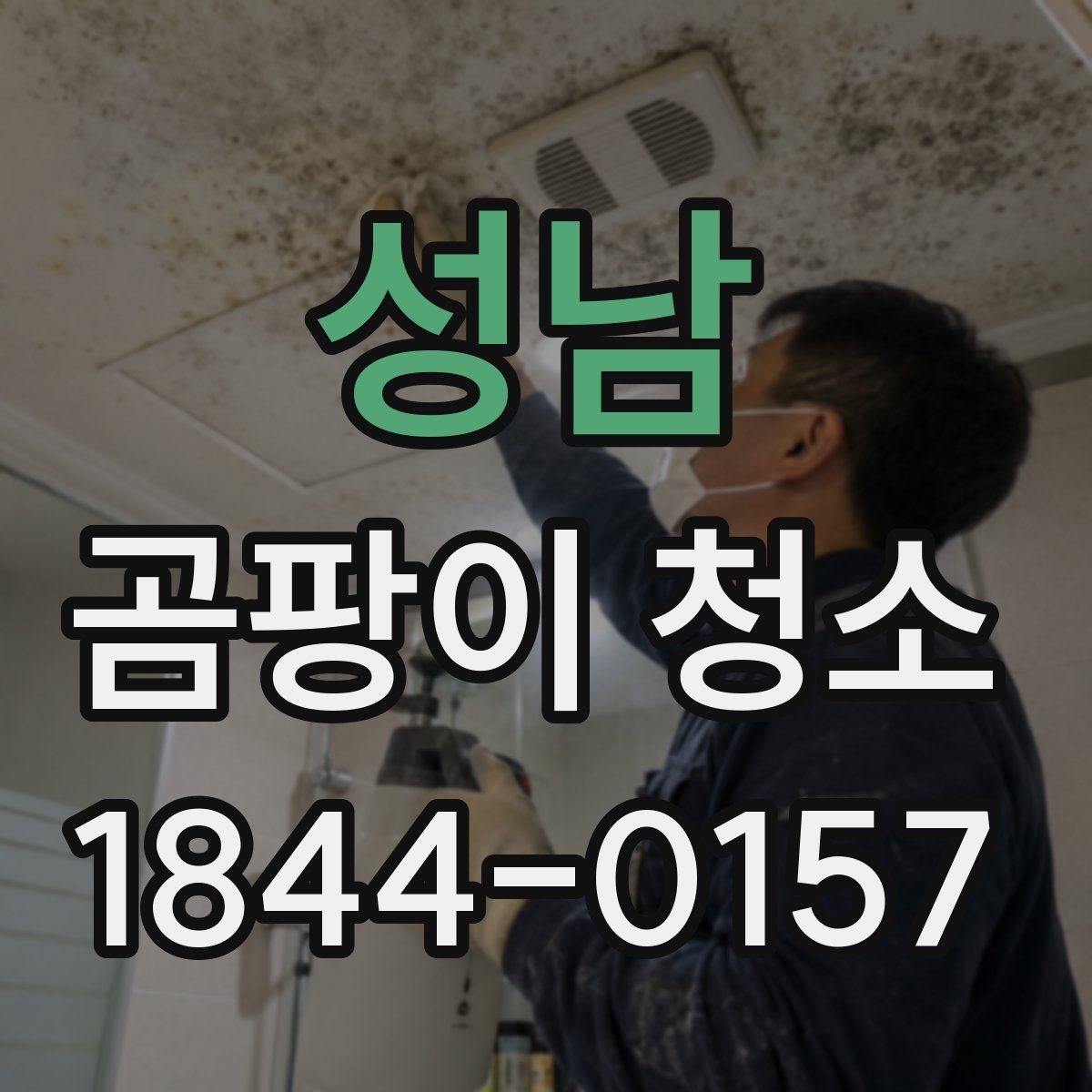 성남 곰팡이 청소