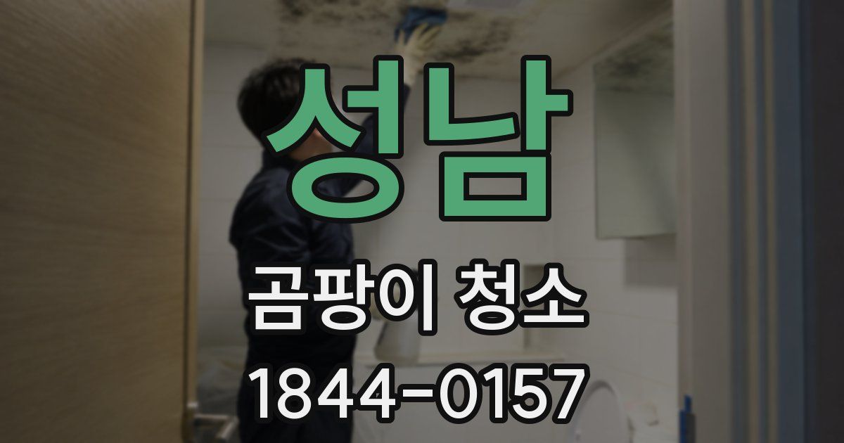 성남 곰팡이 청소