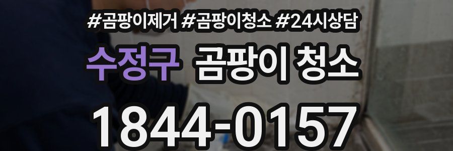 수정구 곰팡이 청소