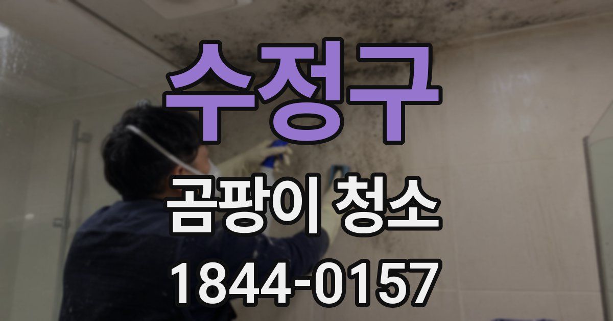 수정구 곰팡이 청소