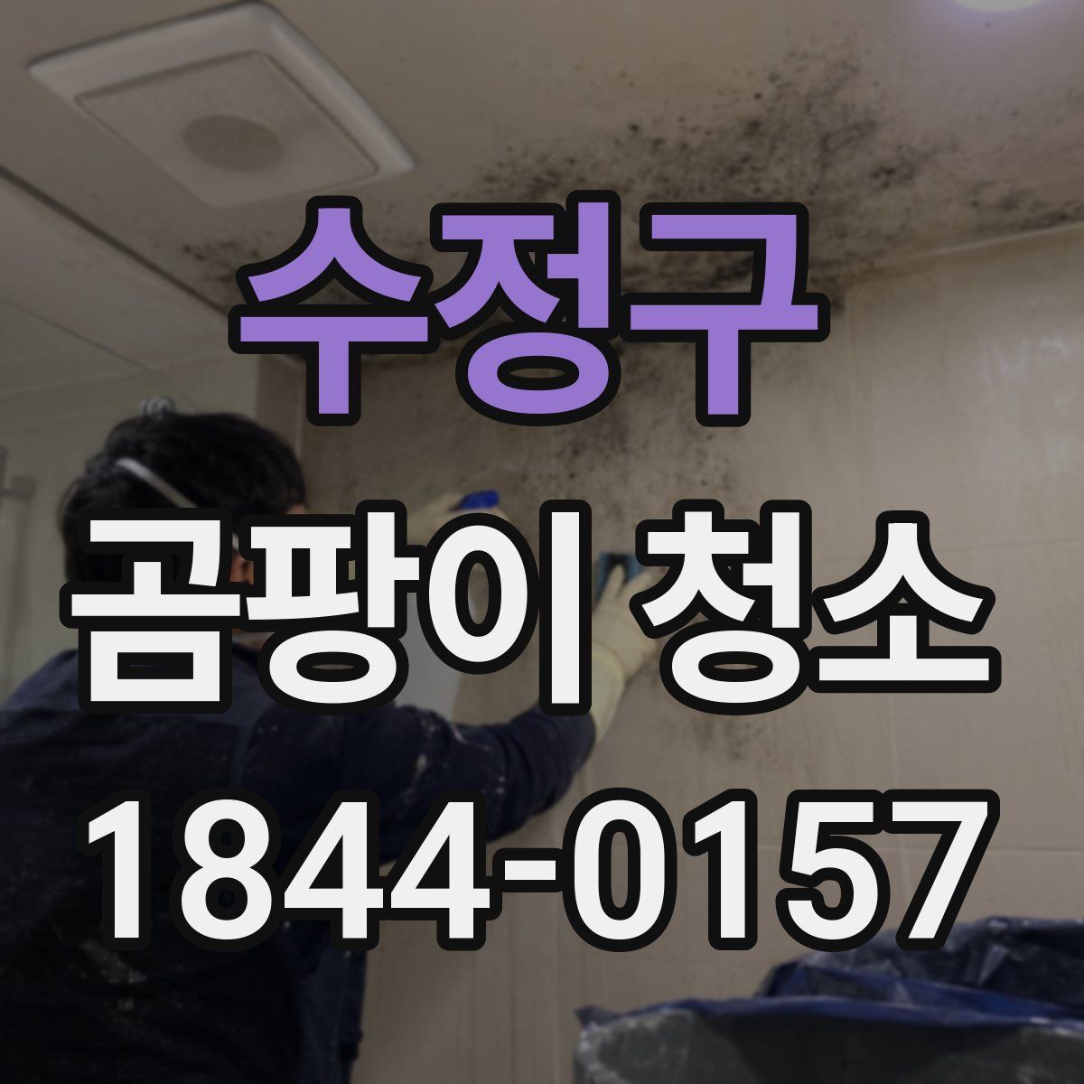 수정구 곰팡이 청소