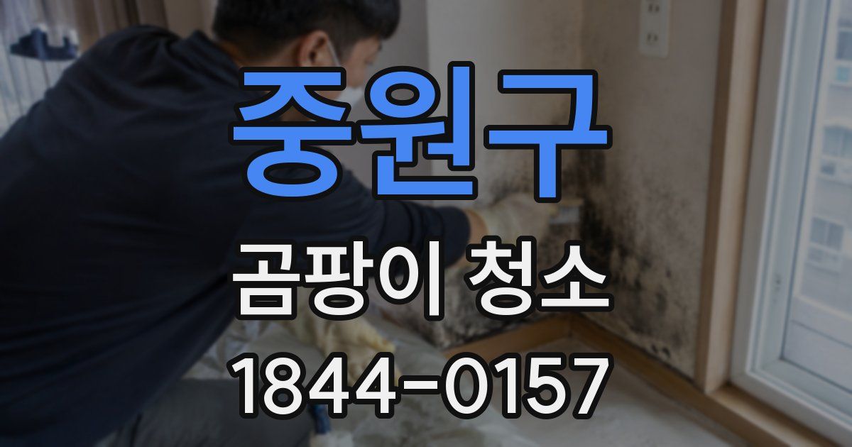 중원구 곰팡이 청소
