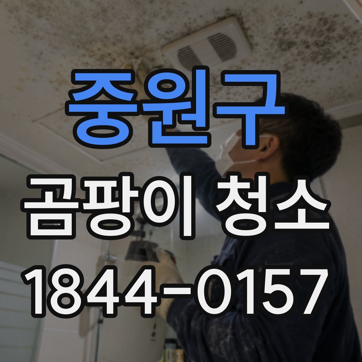중원구 곰팡이 청소