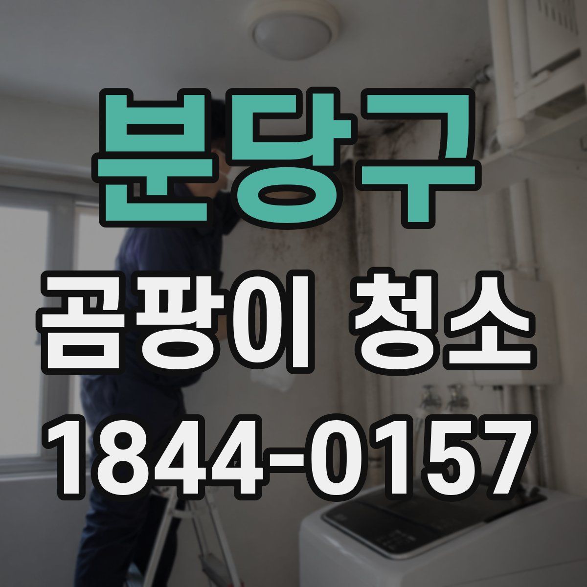 분당구 곰팡이 청소
