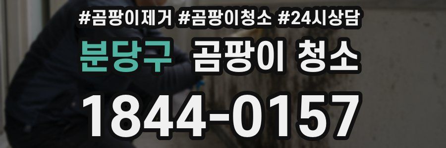 분당구 곰팡이 청소