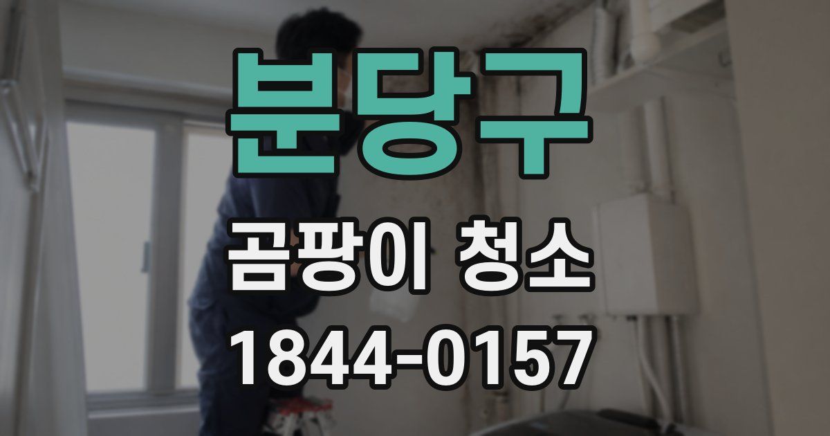 분당구 곰팡이 청소