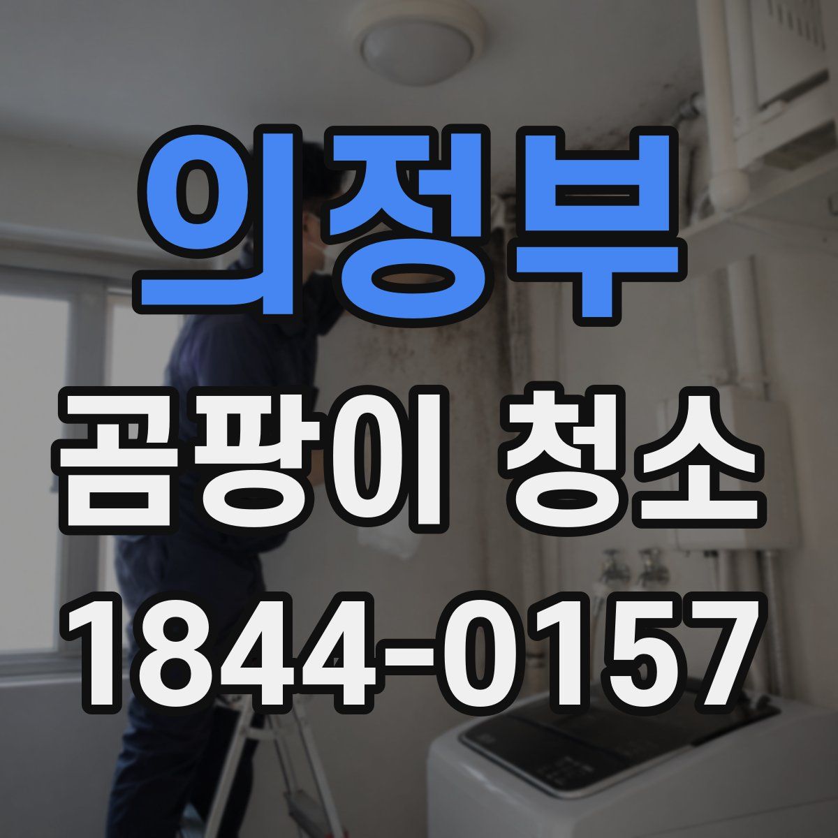 의정부 곰팡이 청소