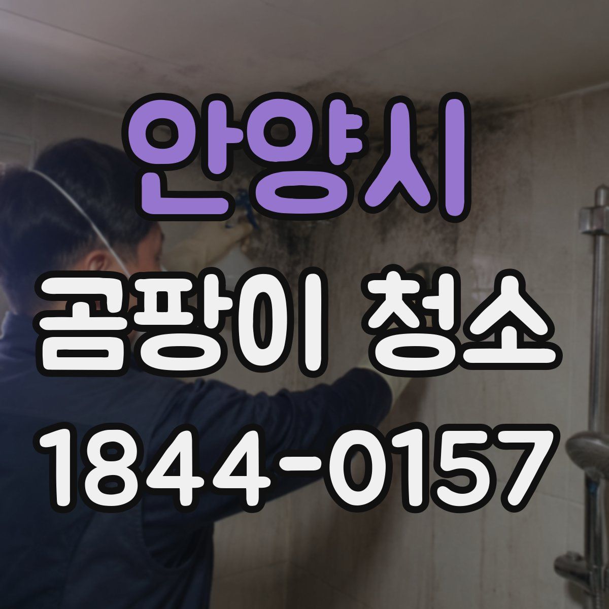 안양시 곰팡이 청소