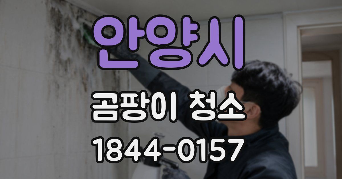 안양시 곰팡이 청소