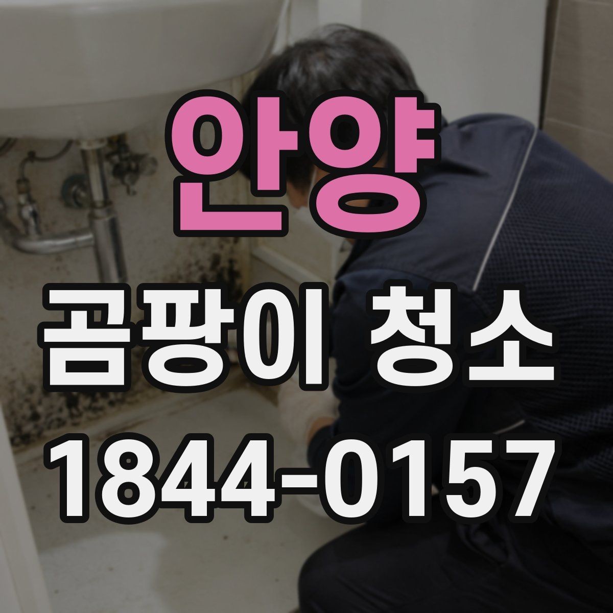 안양 곰팡이 청소 포자 번짐을 막는 닦기 순서와 준비 방법