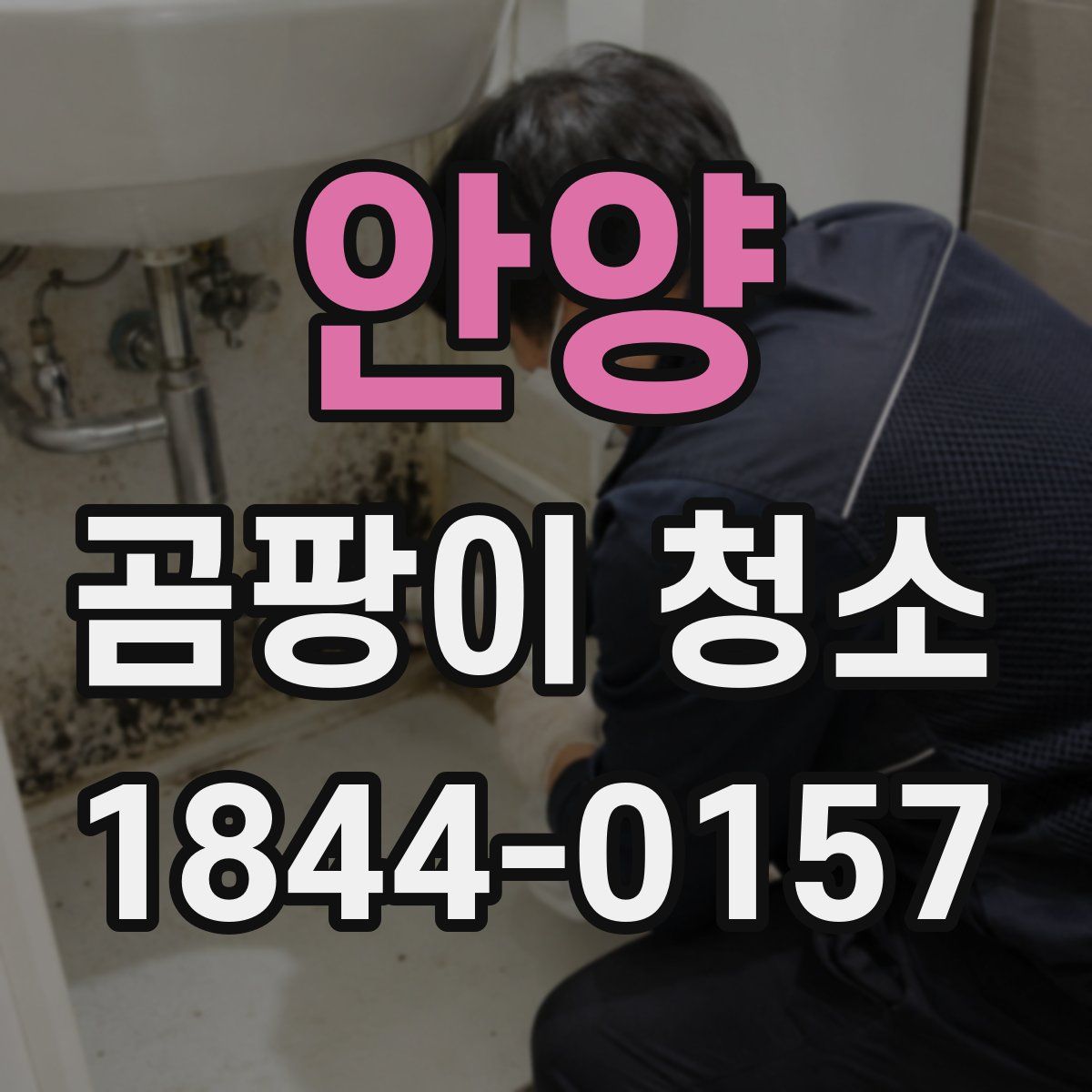 안양 곰팡이 청소