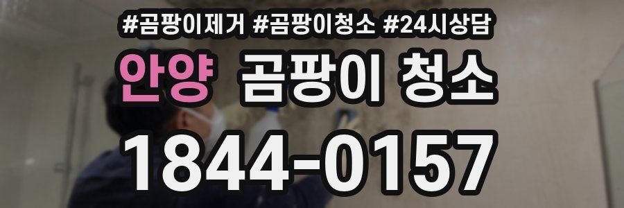 안양 곰팡이 청소