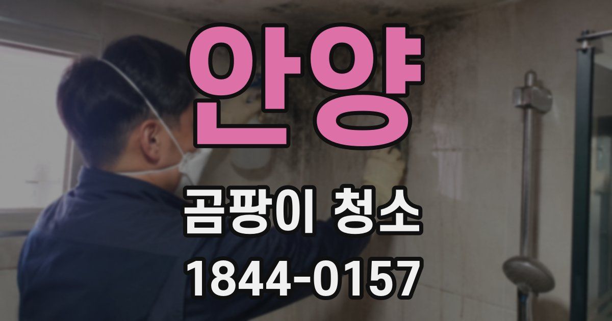 안양 곰팡이 청소