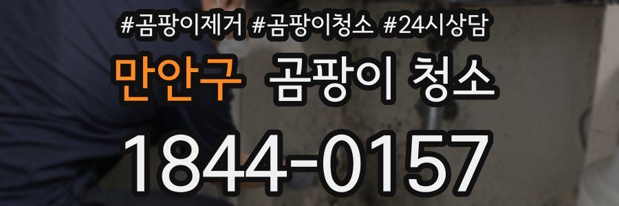 만안구 곰팡이 청소