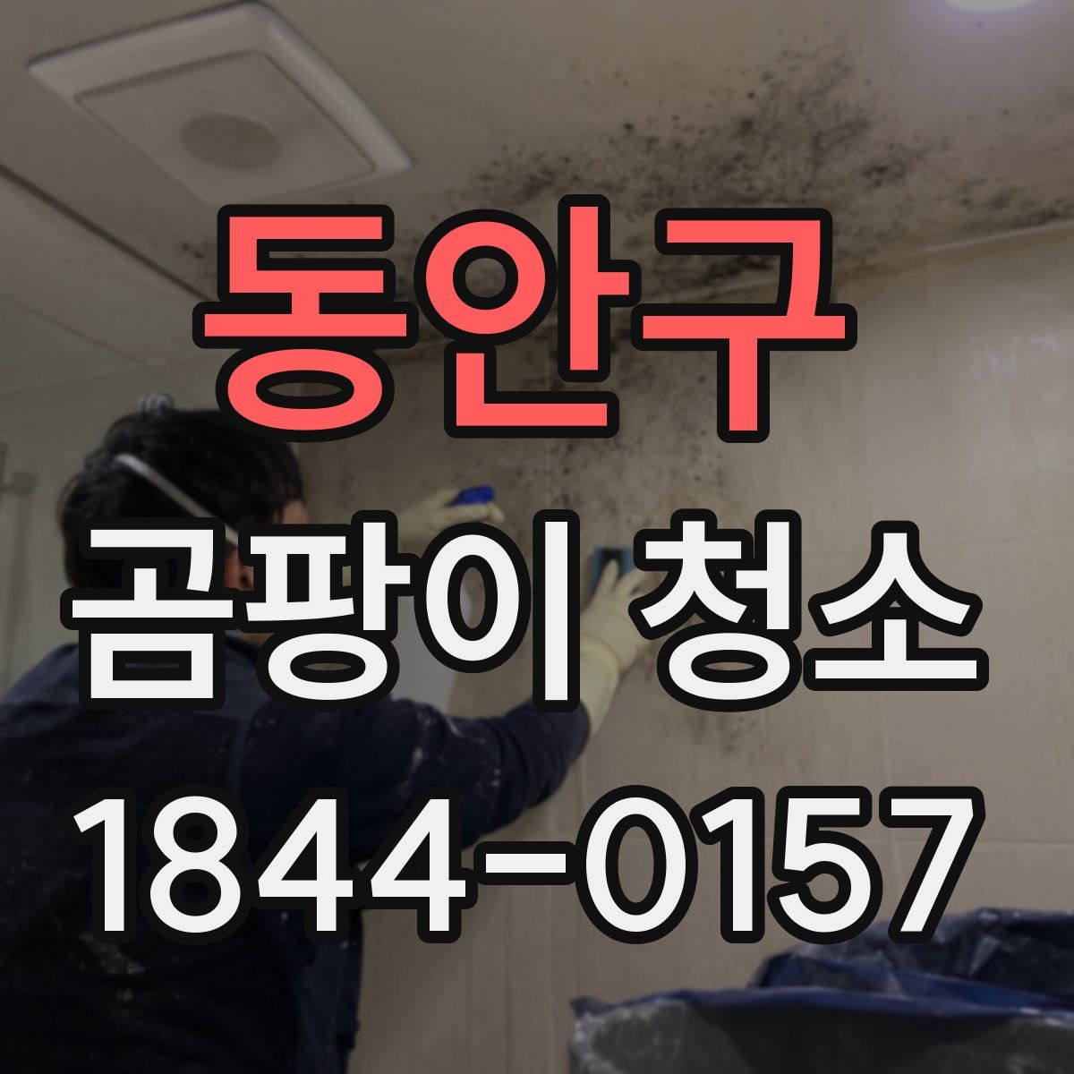 동안구 곰팡이 청소