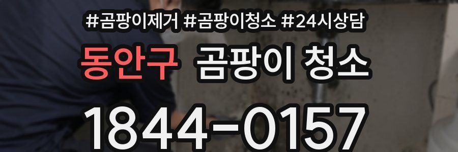 동안구 곰팡이 청소