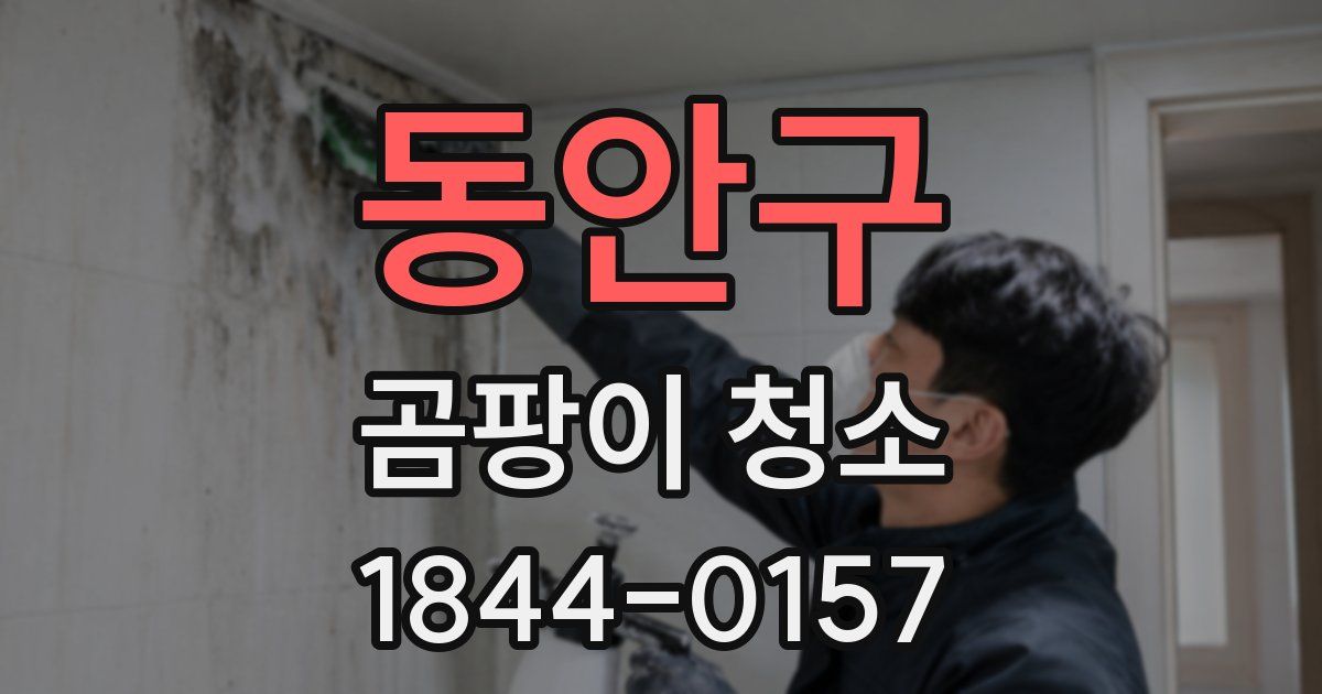 동안구 곰팡이 청소