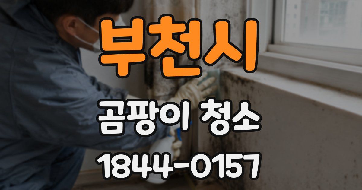 부천시 곰팡이 청소
