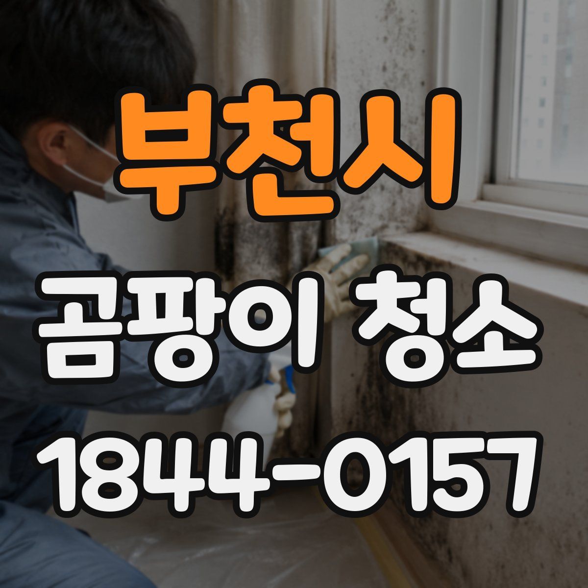 부천시 곰팡이 청소