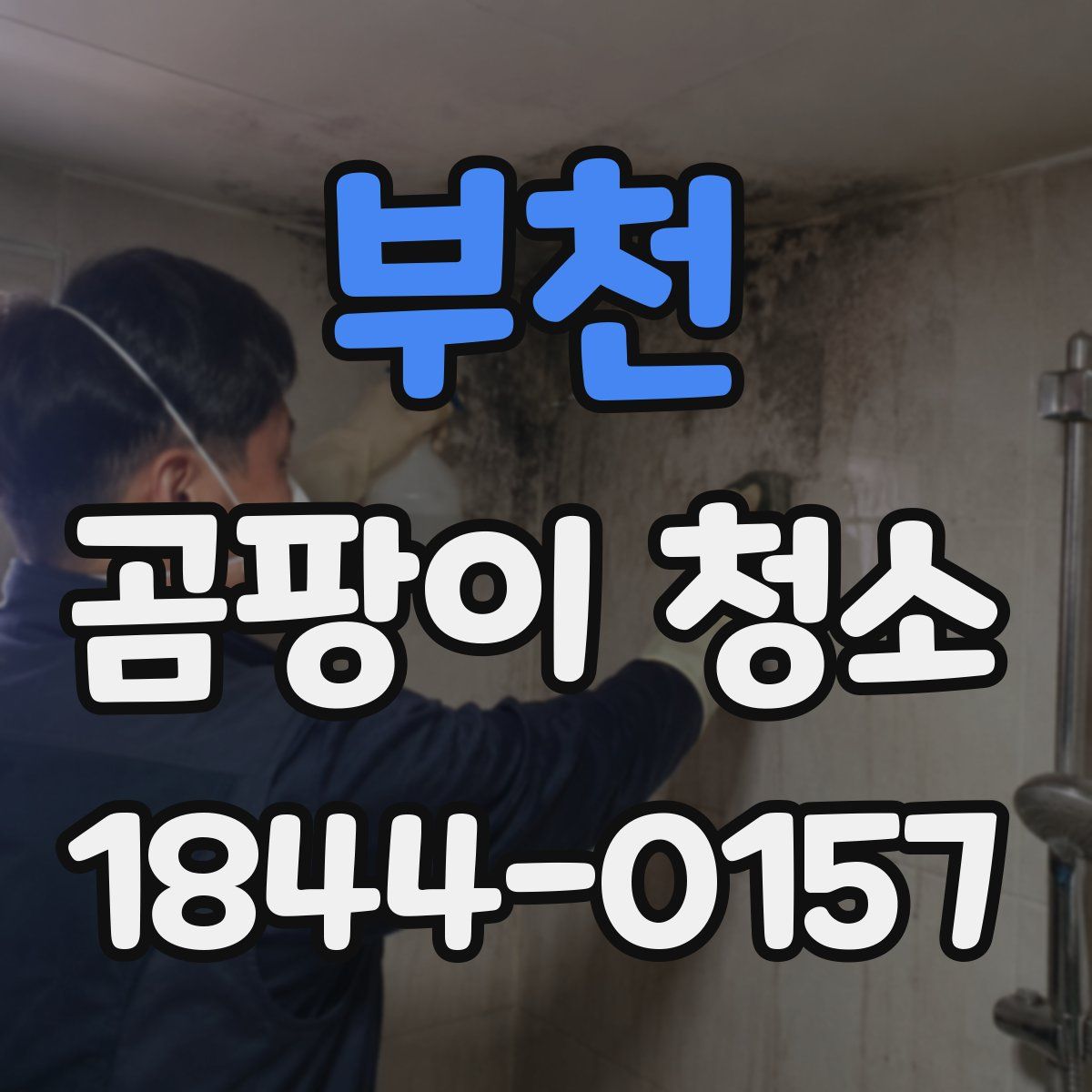 부천 곰팡이 청소