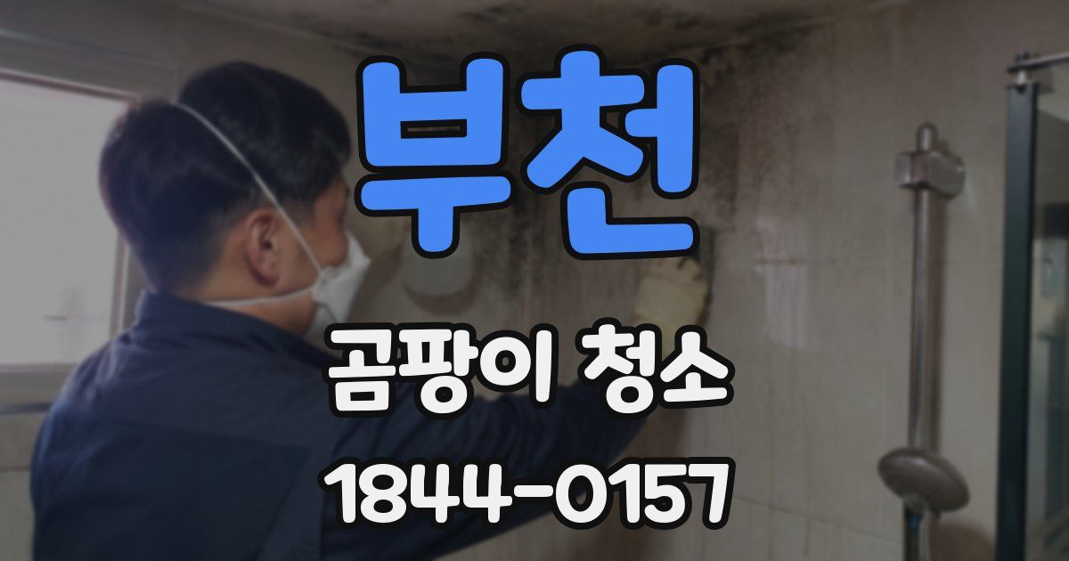 부천 곰팡이 청소