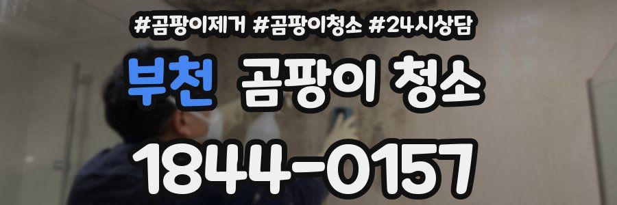 부천 곰팡이 청소