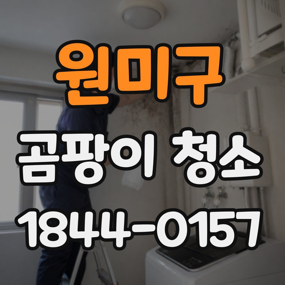 원미구 곰팡이 청소