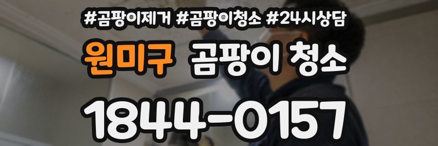 원미구 곰팡이 청소