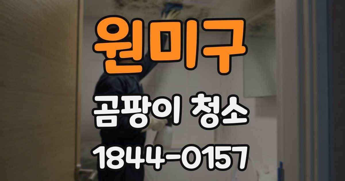 원미구 곰팡이 청소