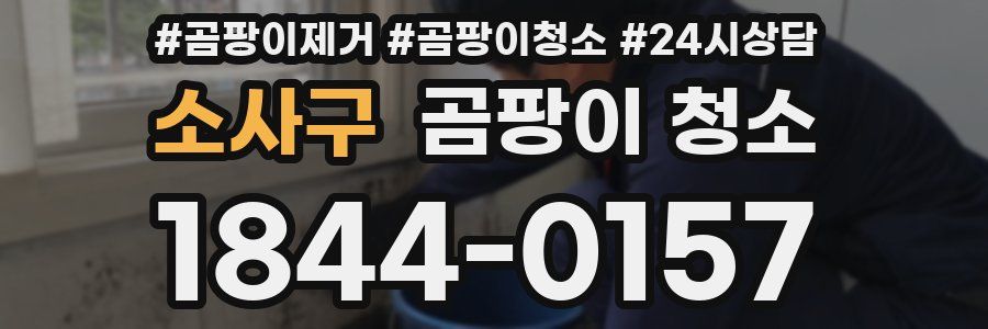 소사구 곰팡이 청소