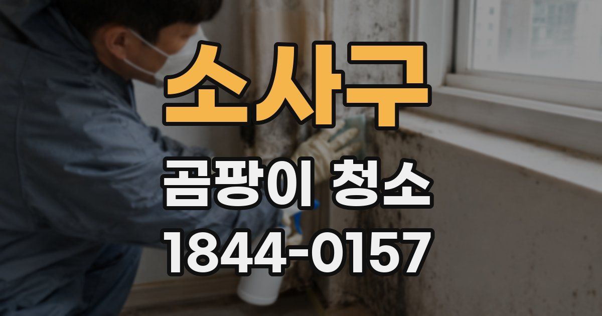 소사구 곰팡이 청소